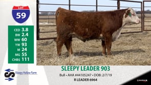 Lot #59 - SLEEPY LEADER 903