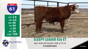 Lot #61 - SLEEPY LEADER 926 ET