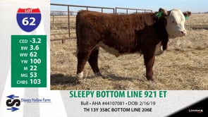 Lot #62 - SLEEPY BOTTOM LINE 921 ET