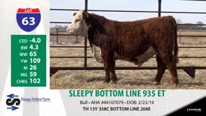 Lot #63 - SLEEPY BOTTOM LINE 935 ET