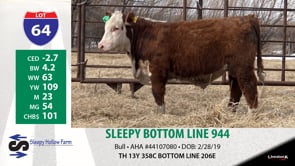 Lot #64 - SLEEPY BOTTOM LINE 944