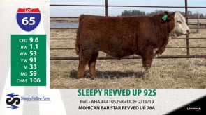 Lot #65 - SLEEPY REVVED UP 925