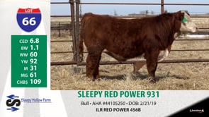 Lot #66 - SLEEPY RED POWER 931