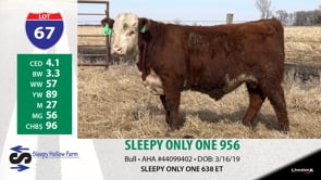 Lot #67 - SLEEPY ONLY ONE 956