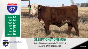 Lot #67 - SLEEPY ONLY ONE 956