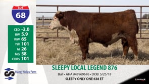 Lot #68 - SLEEPY LOCAL LEGEND 876