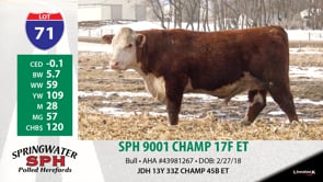 Lot #71 - SPH 9001 CHAMP 17F ET