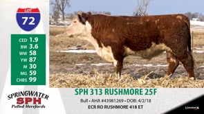 Lot #72 - SPH 313 RUSHMORE 25F