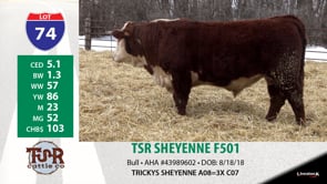 Lot #74 - TSR SHEYENNE F501