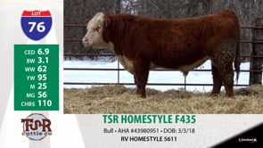 Lot #76 - TSR HOMESTYLE F435