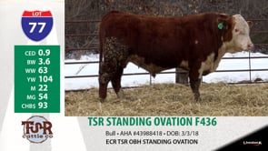 Lot #77 - TSR STANDING OVATION F436