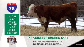 Lot #78 - TSR STANDING OVATION G561