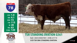 Lot #78 - TSR STANDING OVATION G561