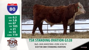 Lot #80 - TSR STANDING OVATION G528