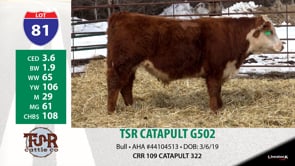 Lot #81 - TSR CATAPULT G502