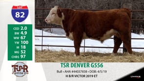 Lot #82 - TSR DENVER G556