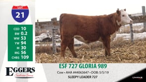 Lot #21 - ESF 727 GLORIA 989
