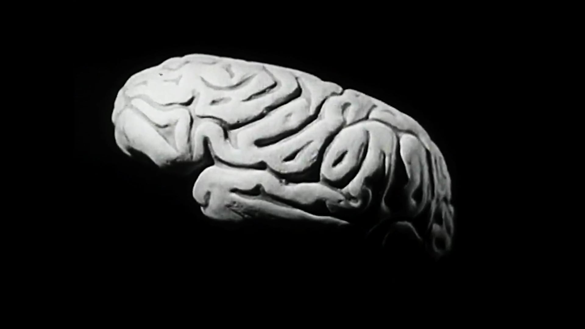 Episode 7 - March 12th