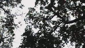 Mountain Creek - Vernon, New Jersey #2