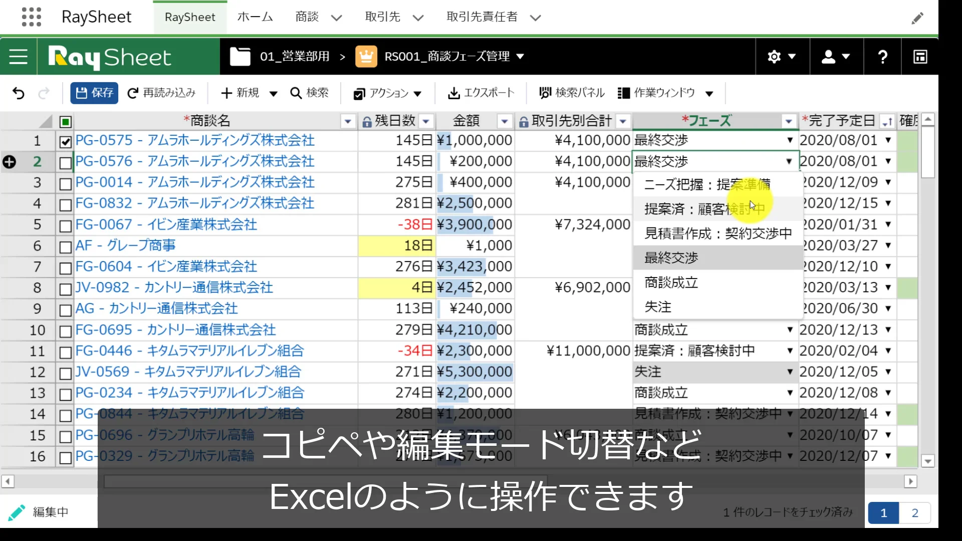 Excelを使うようにSalesforceの商談を管理しよう - RayKit活用
