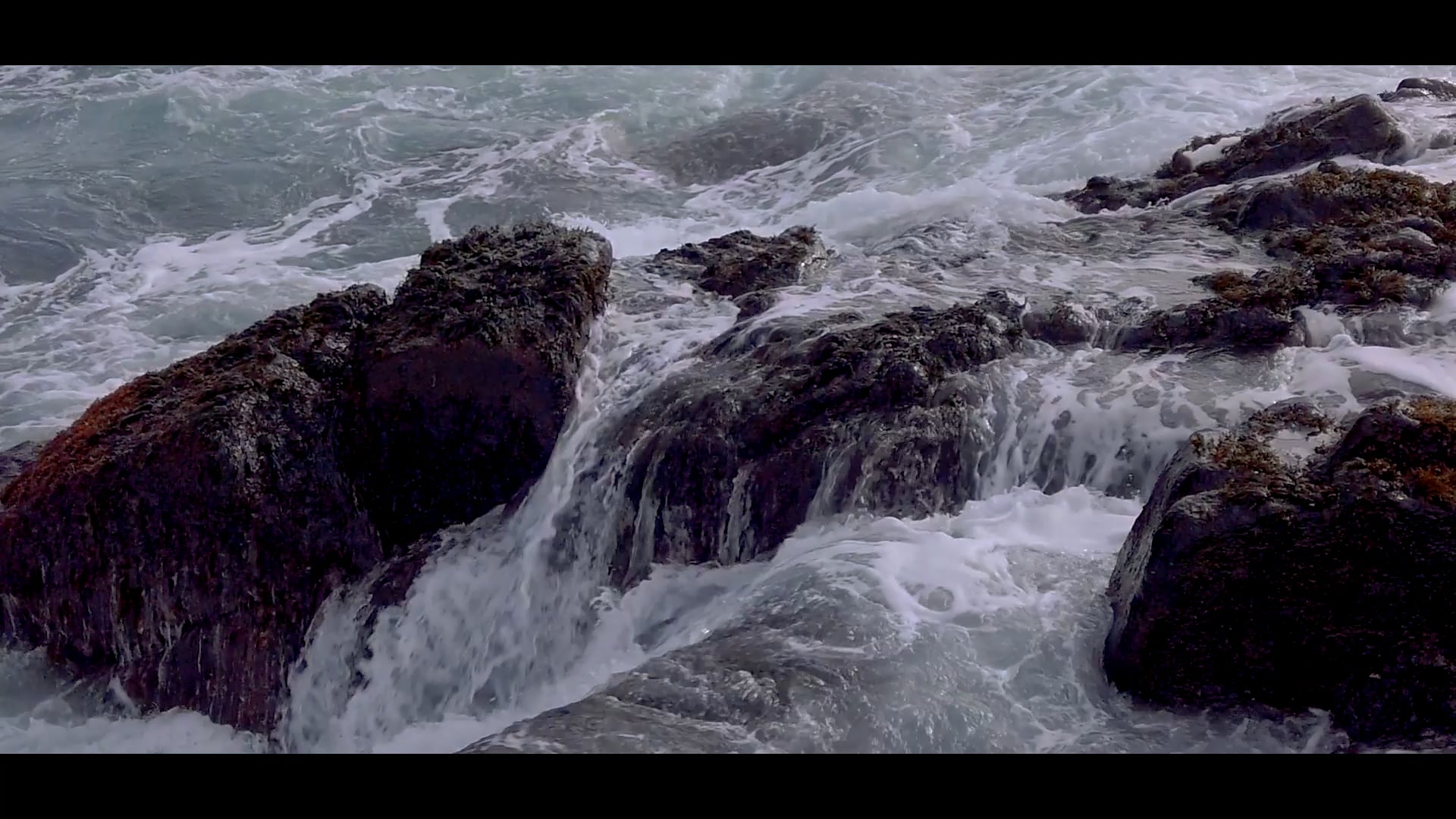 Sea Fever