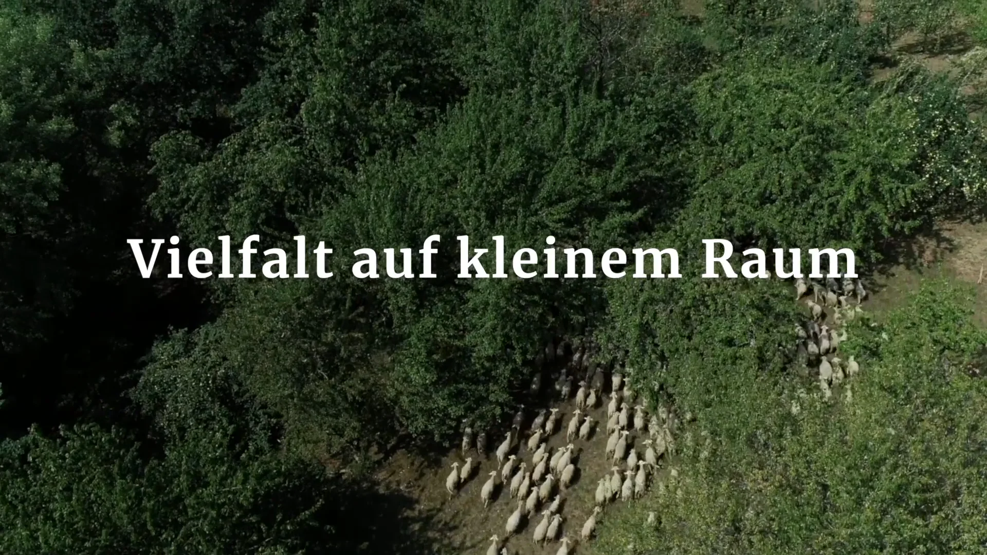 Naturpark Schwäbisch-Fränkischer Wald Kinospot  