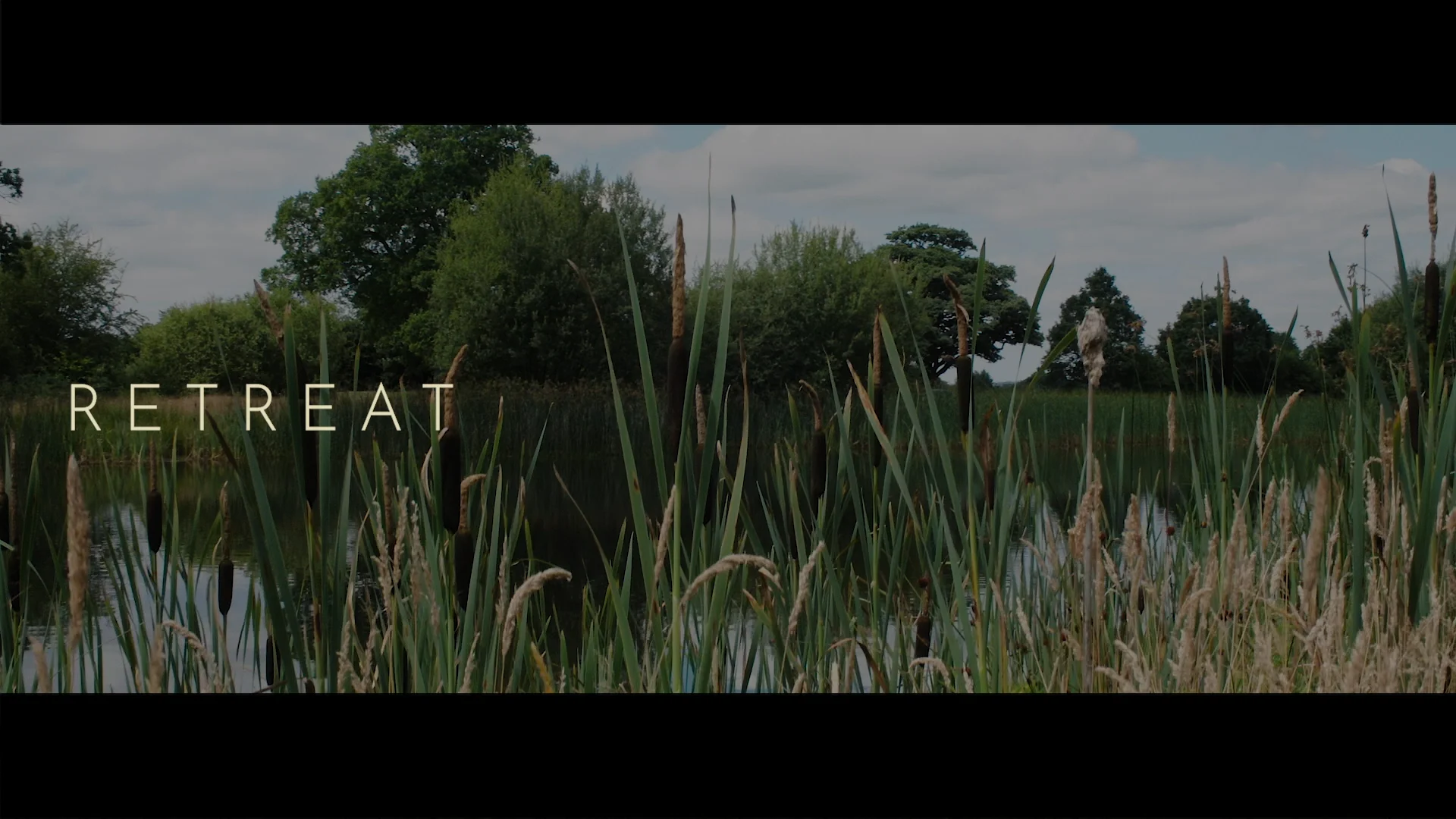Main Film on Vimeo
