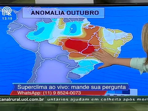 Ao Vivo  Canal Rural