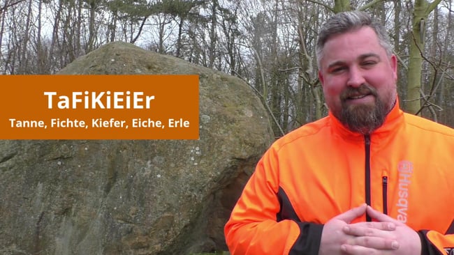 Waidgerechte Holzarten