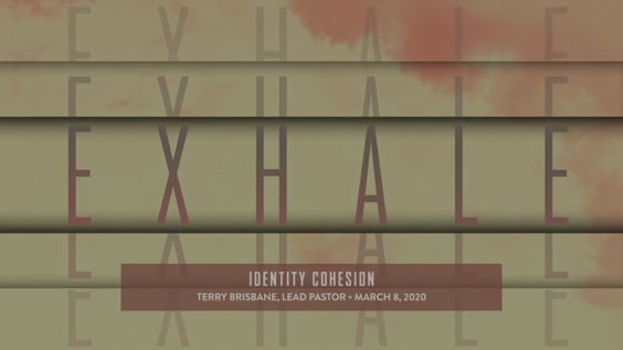 #2010: Identity Cohesion