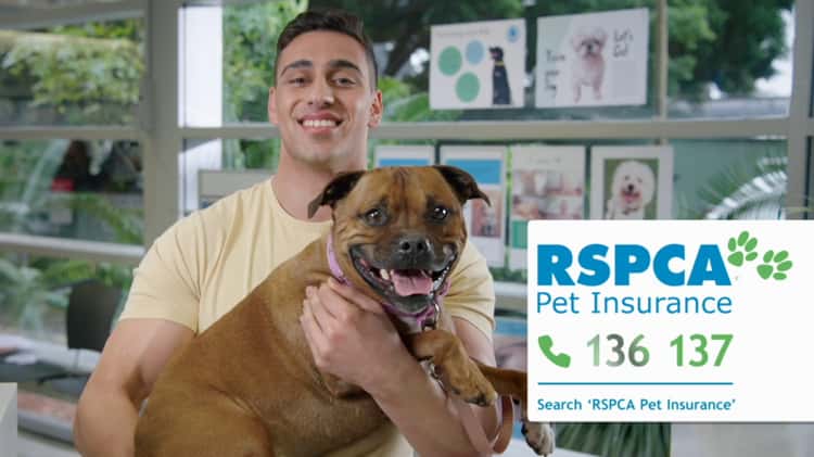 Rspca sales pet search