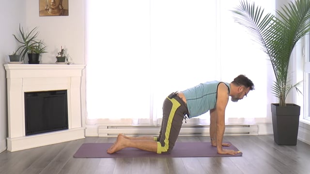 16. Yoga Tonus - Prendre son envol avec le corbeau avec David Leluan (25 min)