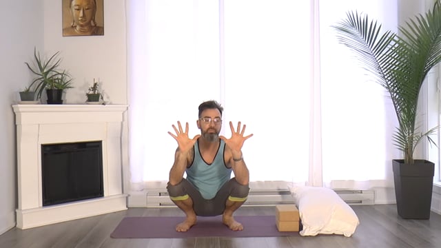 31. Yoga Tonus - Tutoriel : 7 astuces essentielles pour pratiquer le corbeau avec David Leluan (09 min)