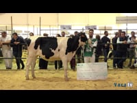 Xovillas de 16 a 18 meses