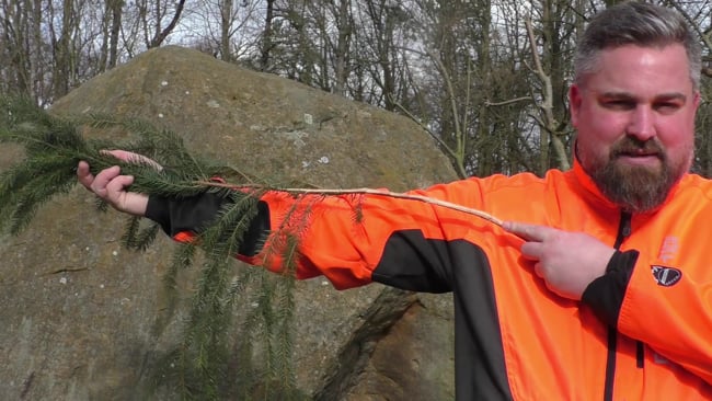 Begrifflichkeiten waidgerechte Brüche