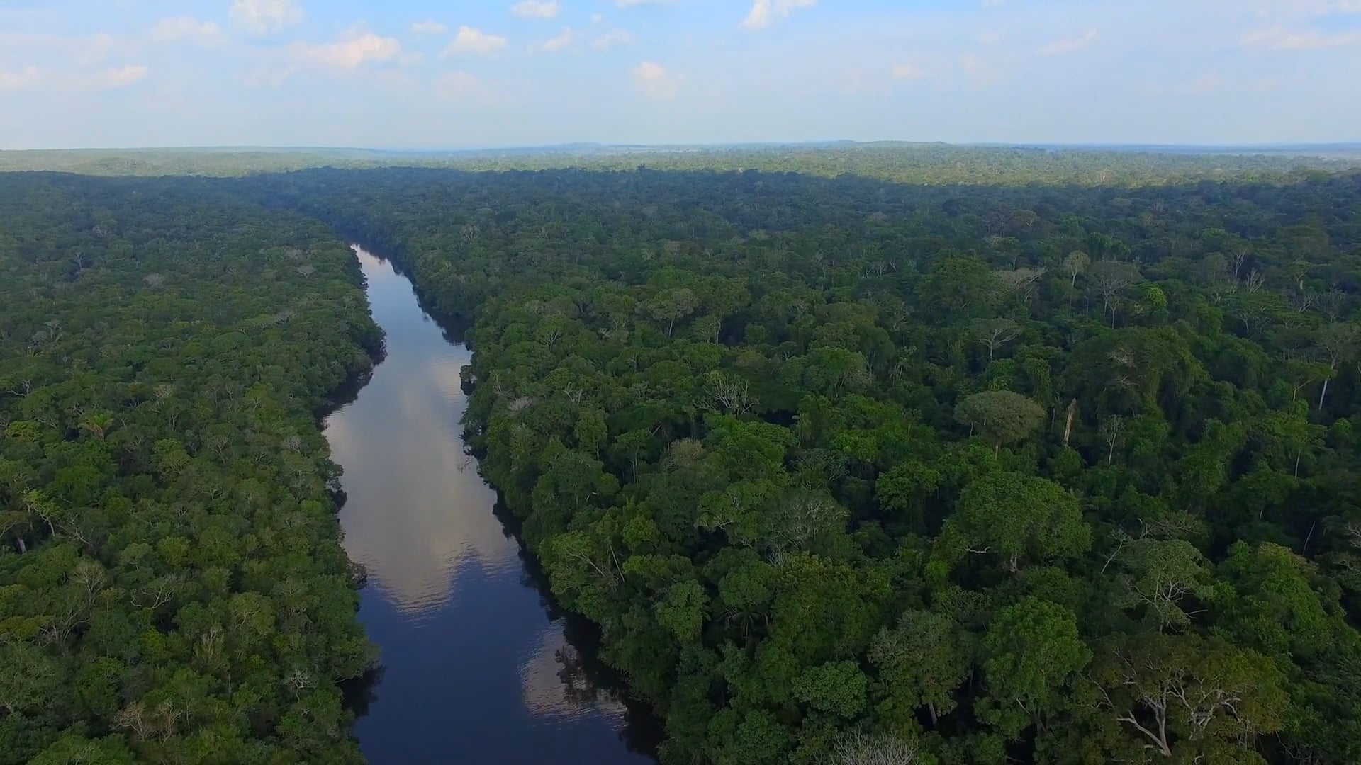 Complexo Apiacás | 04