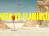 DVEIN VS FLAMINGOS
