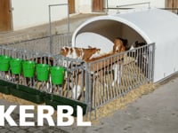 http://www.kerbl.de/artikel/14540  Die aus glasfaserverst&amp;auml;rktem Kunststoff hergestellte Gro&amp;szlig;raumk&amp;auml;lberh&amp;uuml;tte bietet Platz f&amp;uuml;r bis zu 7 K&amp;auml;lber&amp;hellip;