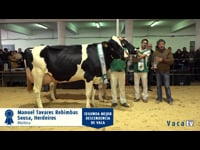 Mejor descendencia de vaca