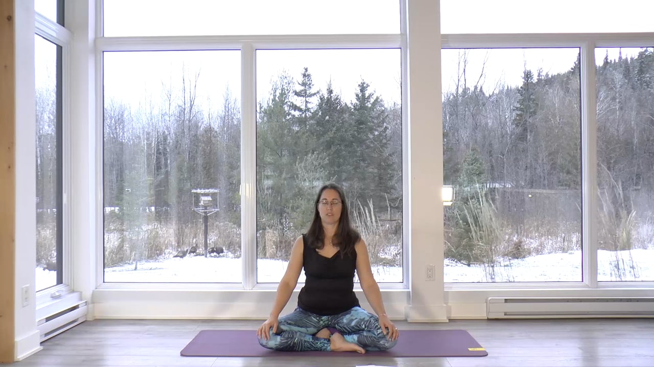 11. Cours de Yogathérapie - Douleurs articulaires haut du corps avec Caroline Paradis (44min)