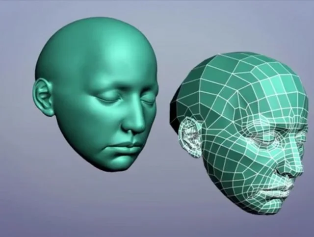 3d topology head
