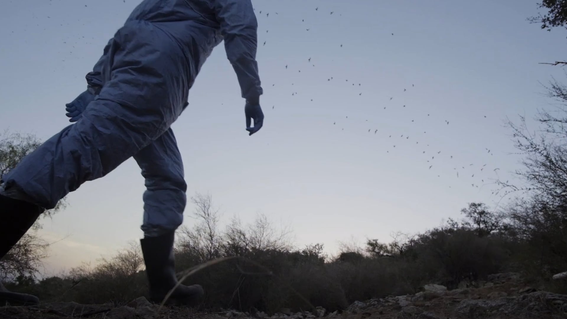 Toyota- Lets go places