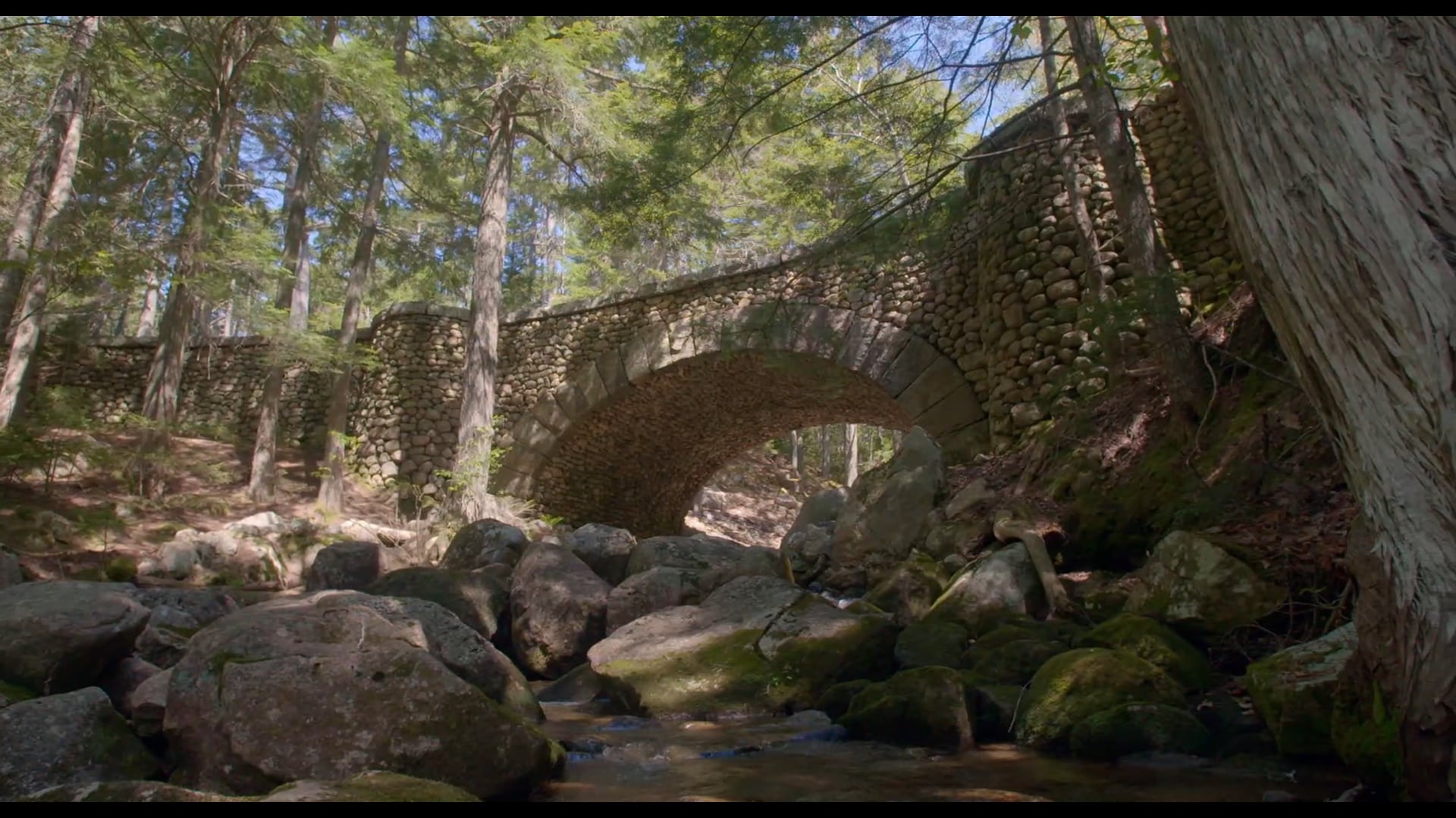 Acadia bridges