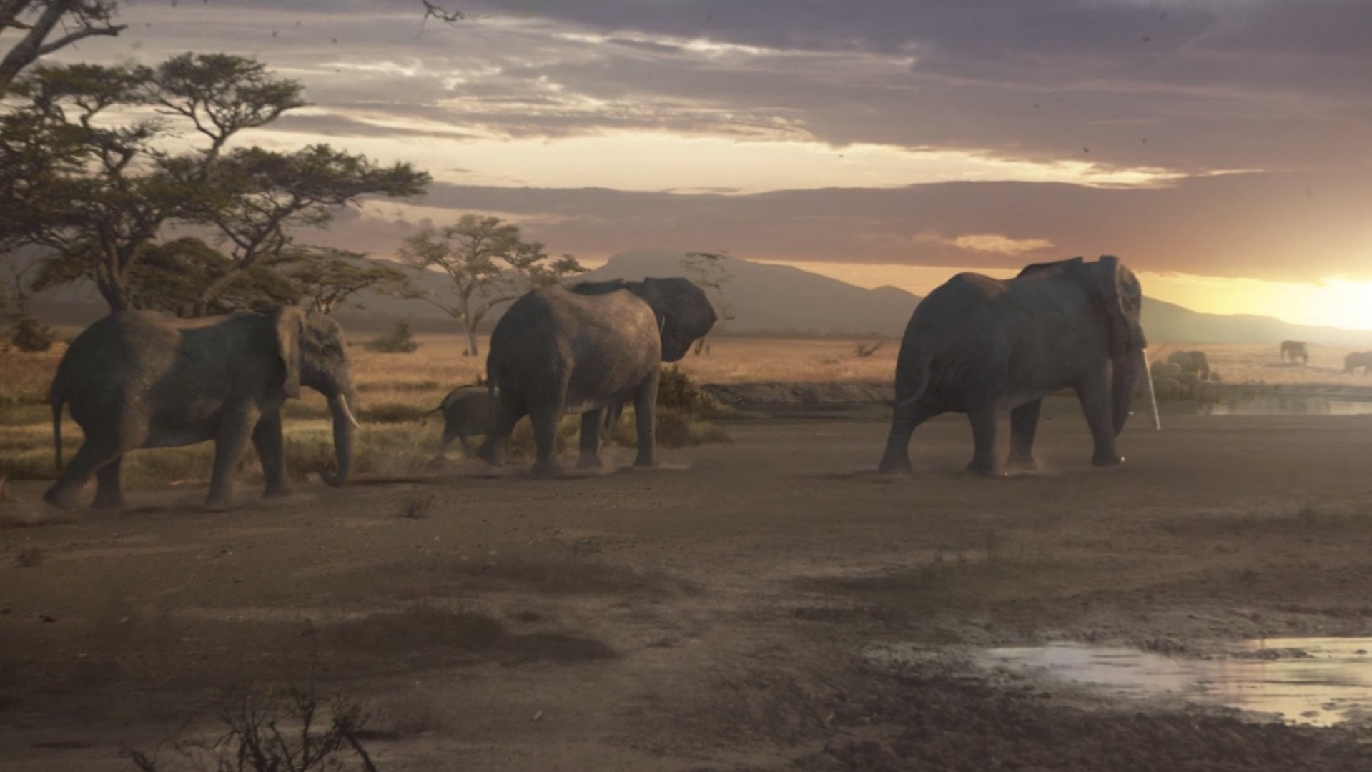 WWF: Just Like Us