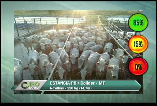 Colider.mp4 on Vimeo