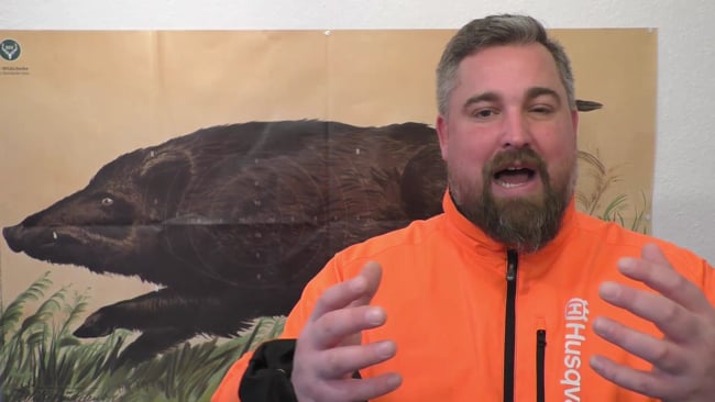 Tei 3 - Organe, Schweinepest, Trichienenprobe, Wirbelsäule