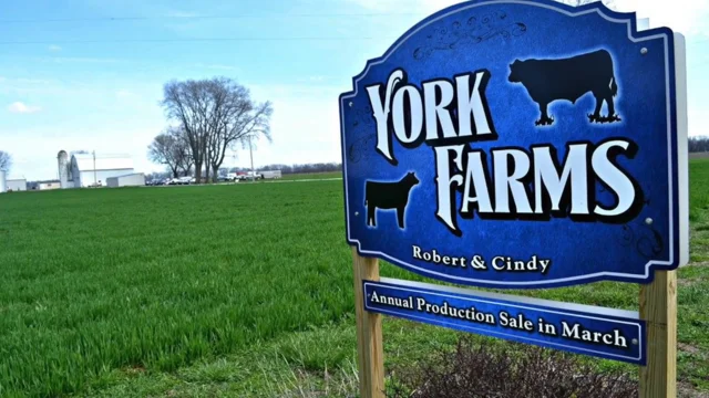 York Farm - Who We Are