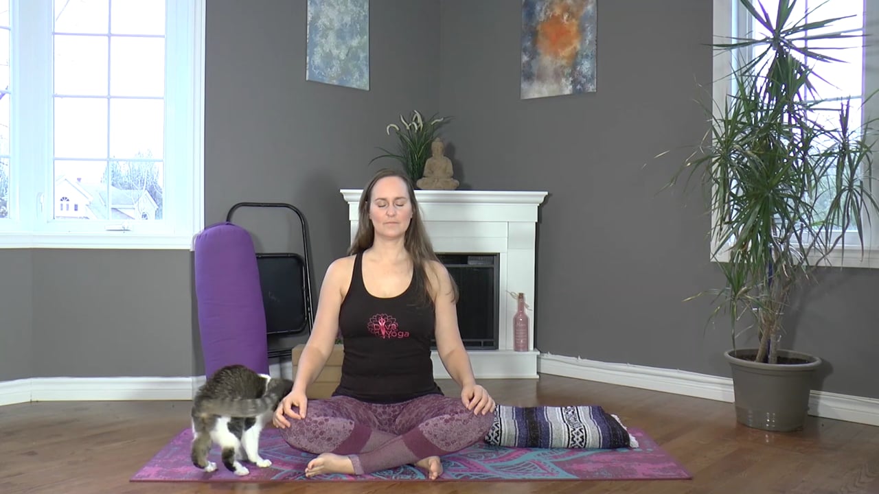 23. Cours Yoga restaurateur - Mal de tête avec Maryse Lehoux (41 min)