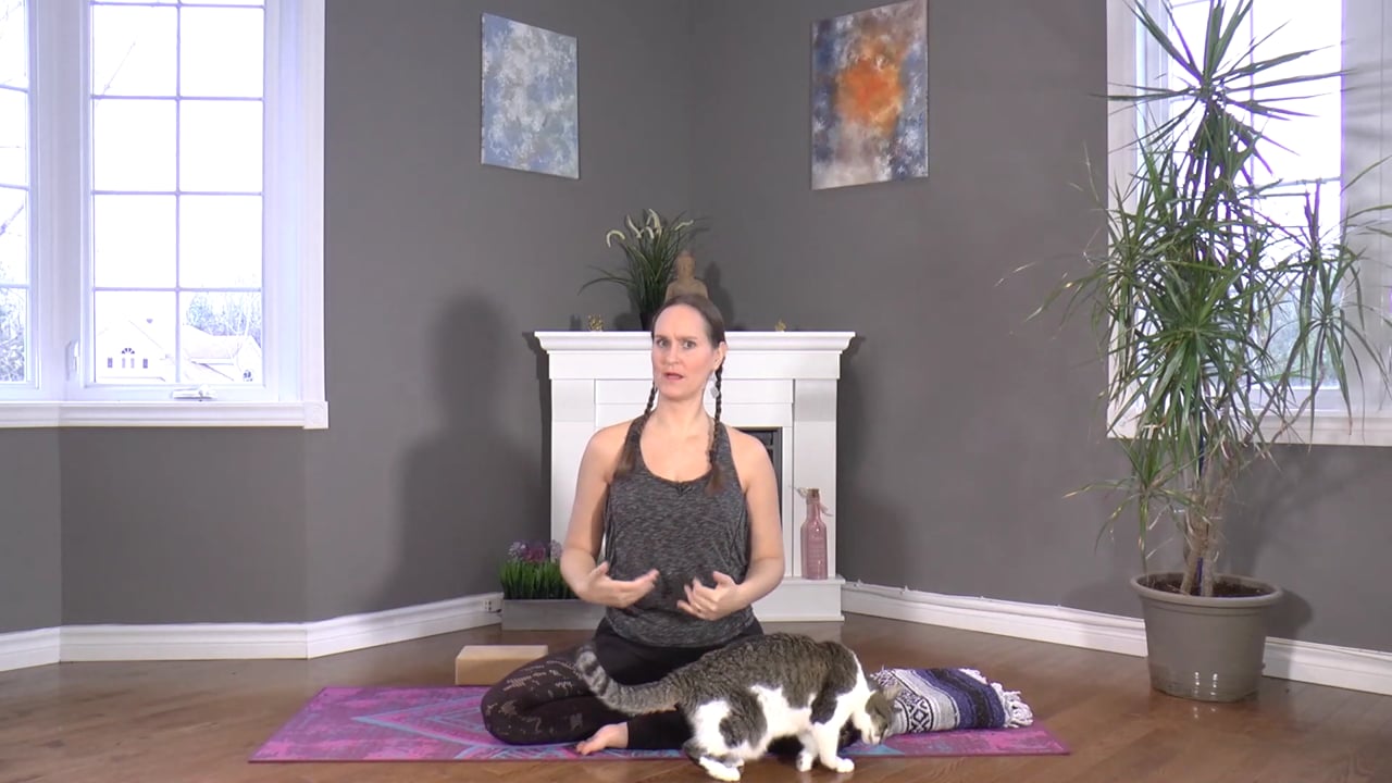 15. Cours de Yoga - Bras Tonique avec Maryse Lehoux (40min)