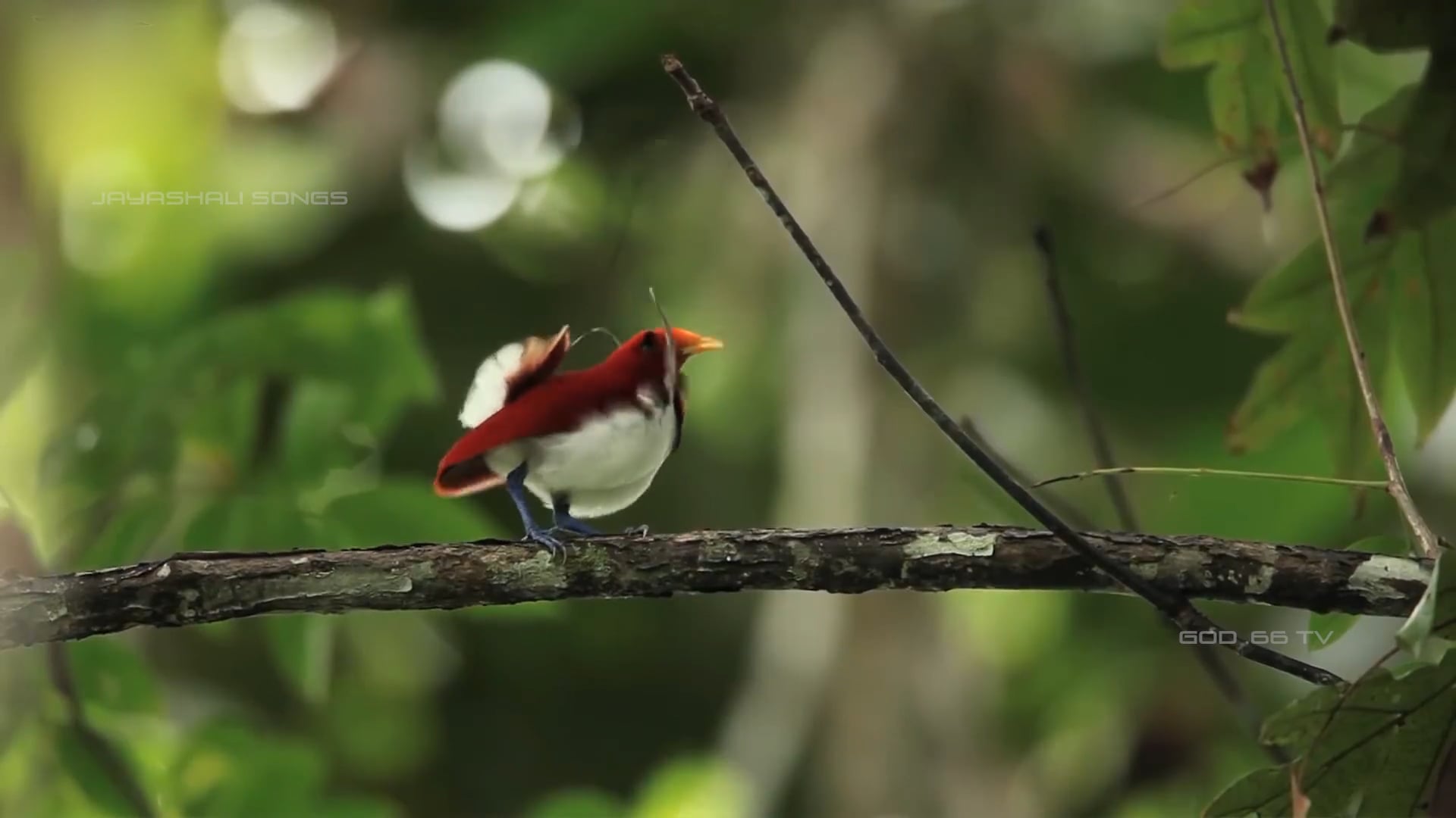 03JEEVARAASULA BEATHUKU 1080P 23-01-2020